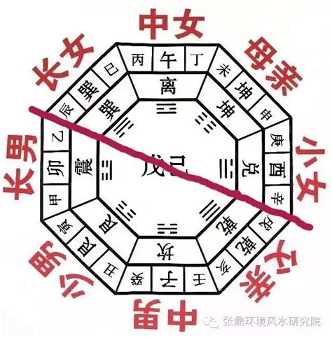 陰陽是什麼|八字基礎教學,陰陽,五行,干支,廿四節氣（20分鐘了解）